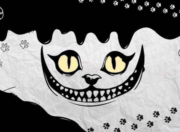 лабиринт Прятки в лабиринте в Новосибирске