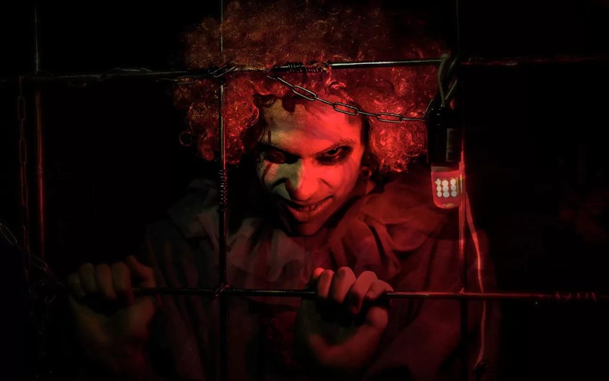 прятки Прятки в лабиринте: Оно в Новосибирске