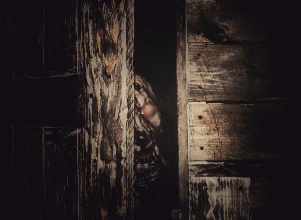 Перформанс Зверь внутри меня в Новосибирске