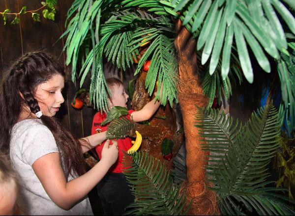 Квест Колонизаторы в Новосибирске